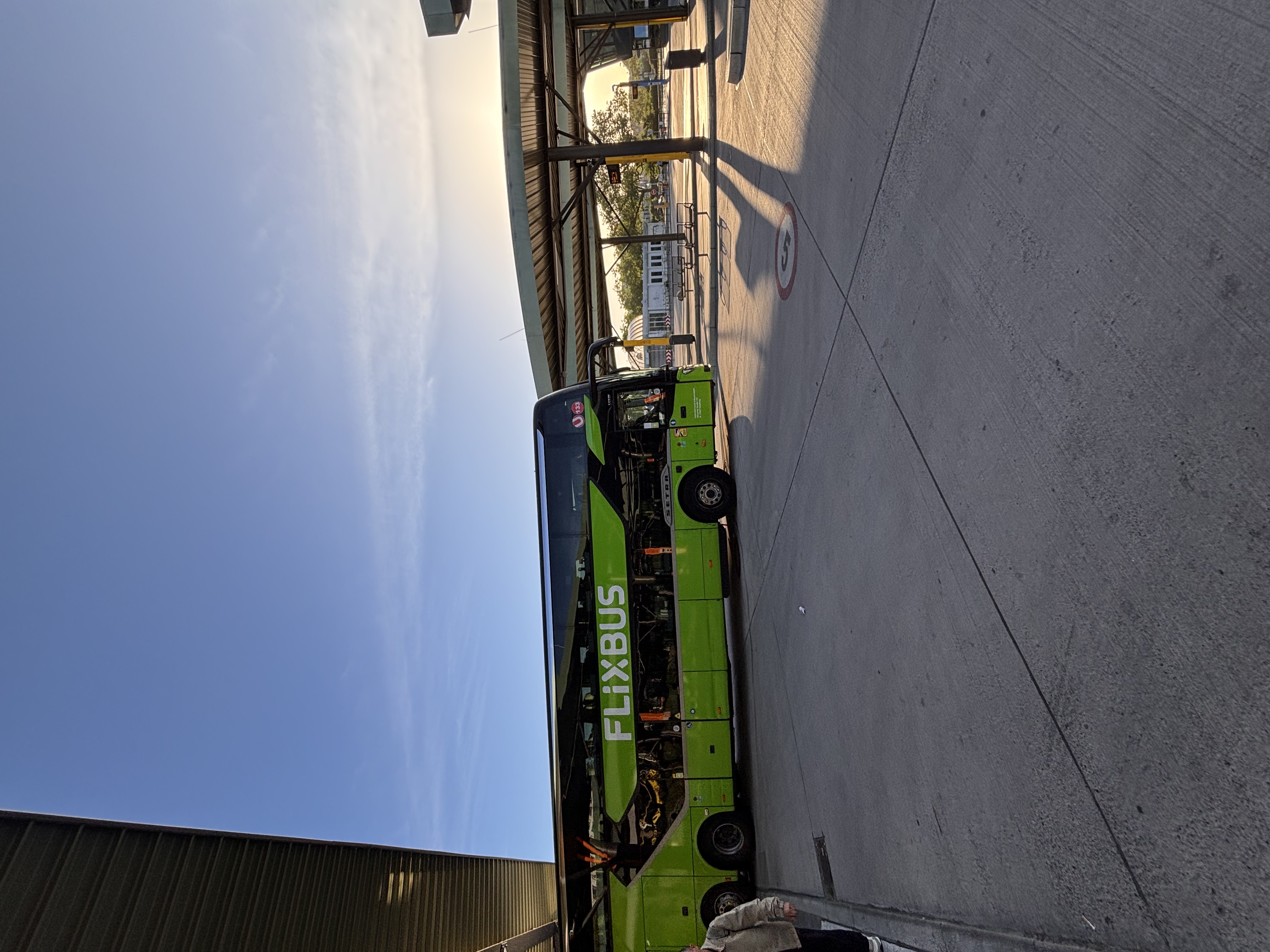 IMG_2901.jpeg