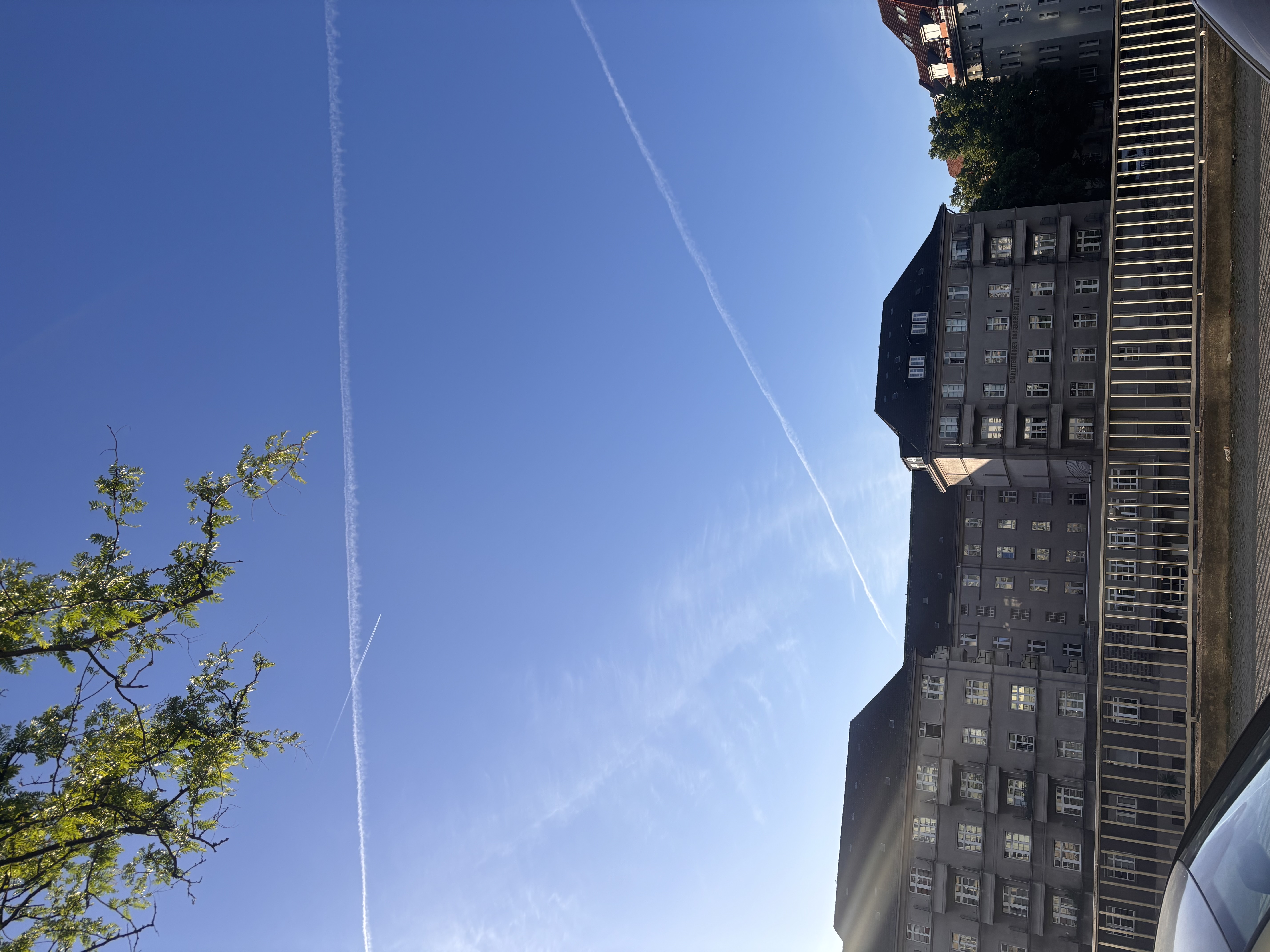 IMG_2907.jpeg