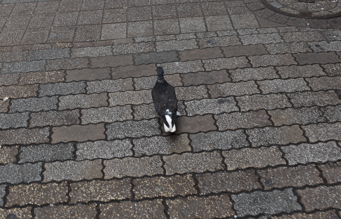 罪悪感と共に、生きる。